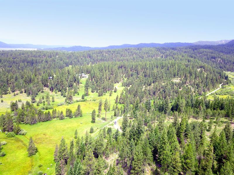 Wooded Recreational Land Wooded : Cascade : Valley County : Idaho