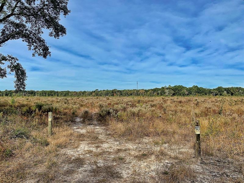 Vacant L Trenton Chiefland Levy : Ranch for Sale in Trenton, Levy County, Florida : #224035 ...
