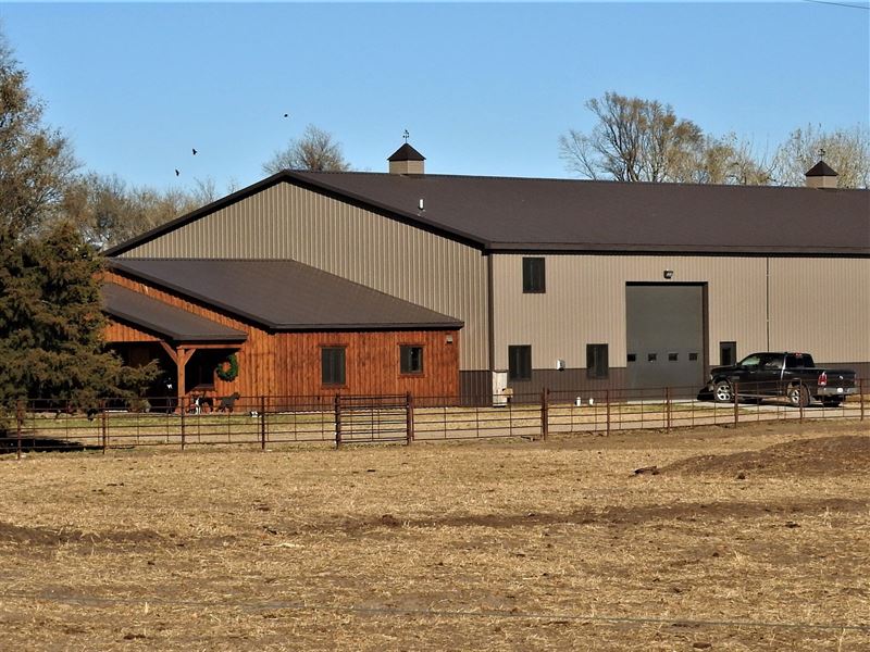 Nebraska Purebred Cattle : Bassett : Rock County : Nebraska