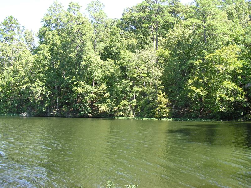 Lake Jordan Waterfront Tract : Titus : Elmore County : Alabama