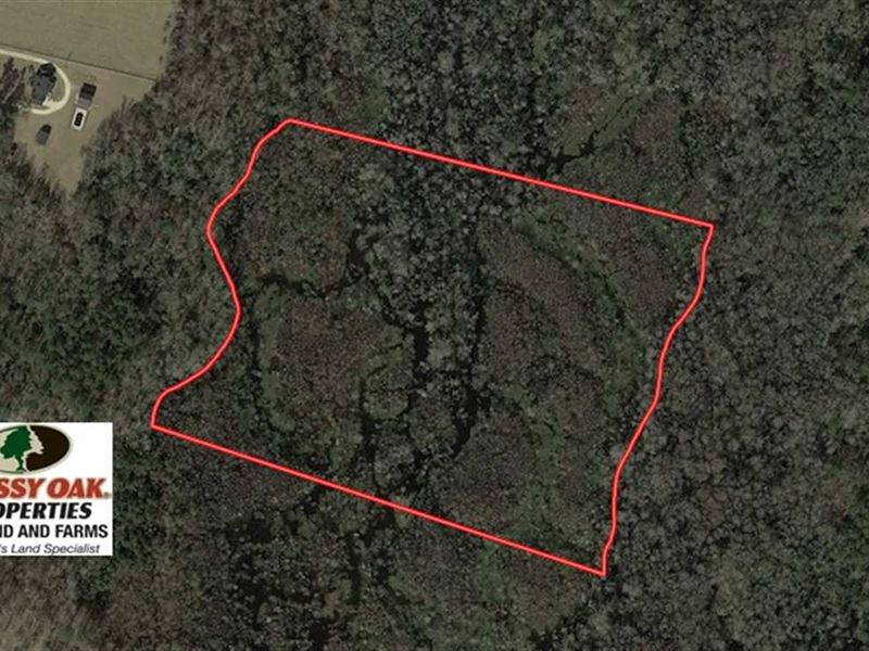 20 Acres of Hunt : Fairmont : Robeson County : North Carolina