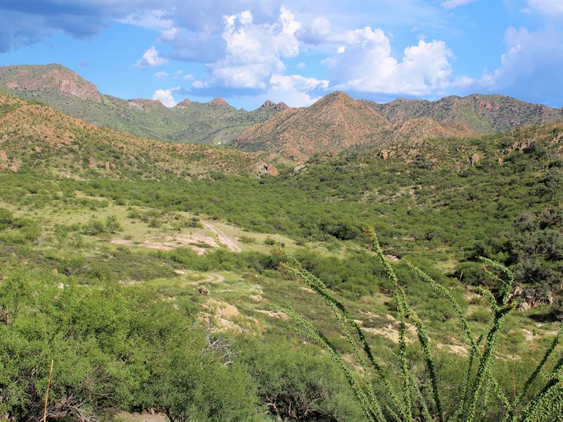 Winery Springs Ranch : Tubac : Santa Cruz County : Arizona