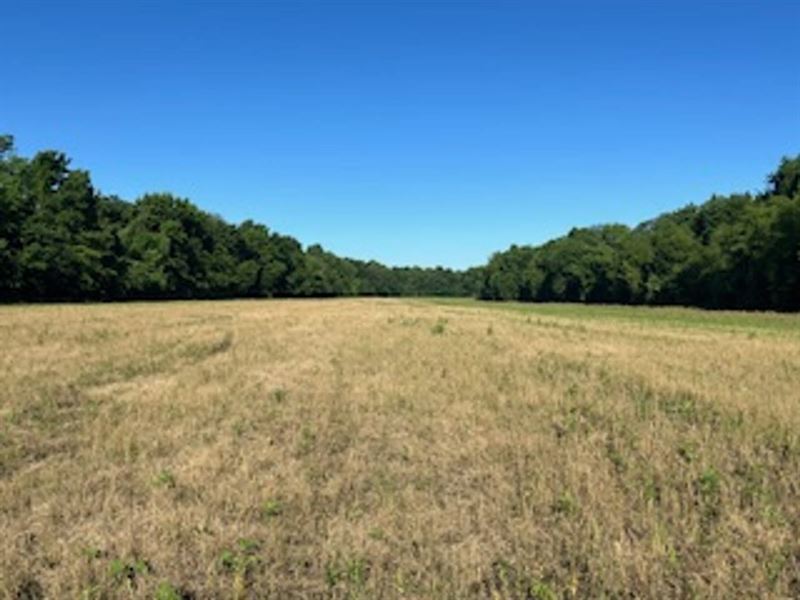 Land for Sale in Spencer County : Rockport : Spencer County : Indiana