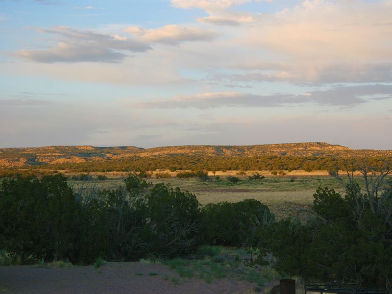 81 Acre Wilderness Ranch with Home : Saint Johns : Apache County : Arizona