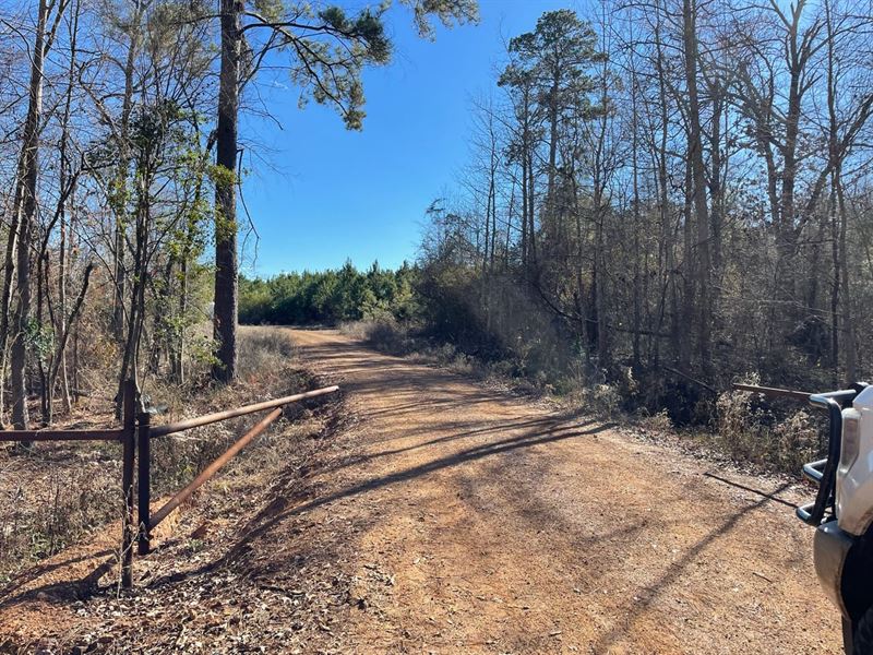 Hidey Hole Hunting Tract 112 WH : Hughes Springs : Cass County : Texas