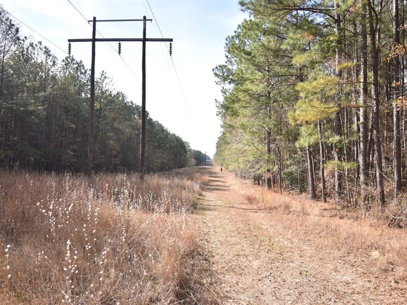 Harvey Hunting Tract, Claiborne Par : Haynesville : Claiborne Parish : Louisiana