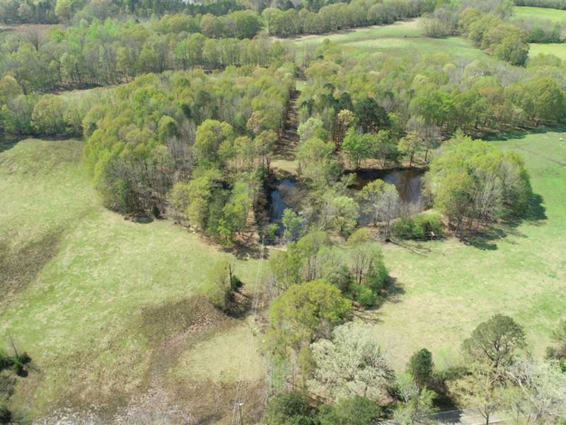 40 Acres, Lee County, Mooreville : Mooreville : Lee County : Mississippi