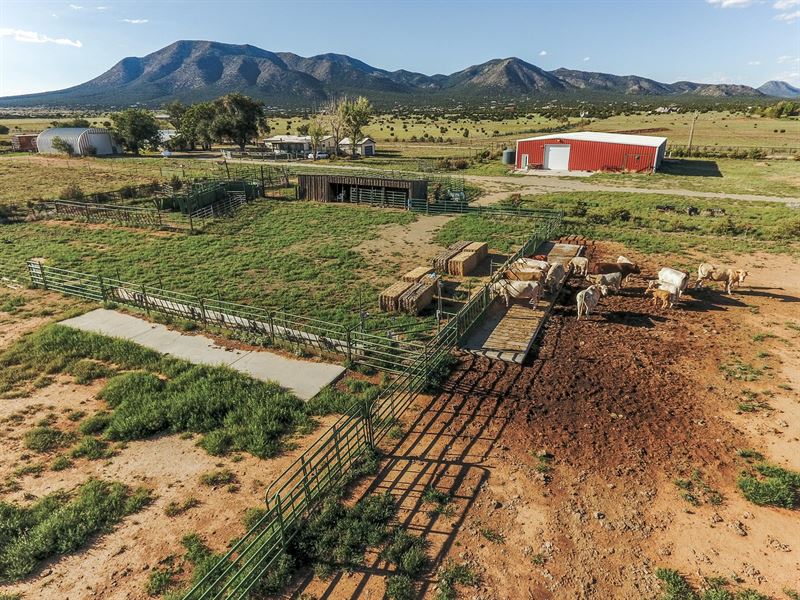 Edgewood, NM Grazing Land 80 Acres : Ranch for Sale in Edgewood, Santa