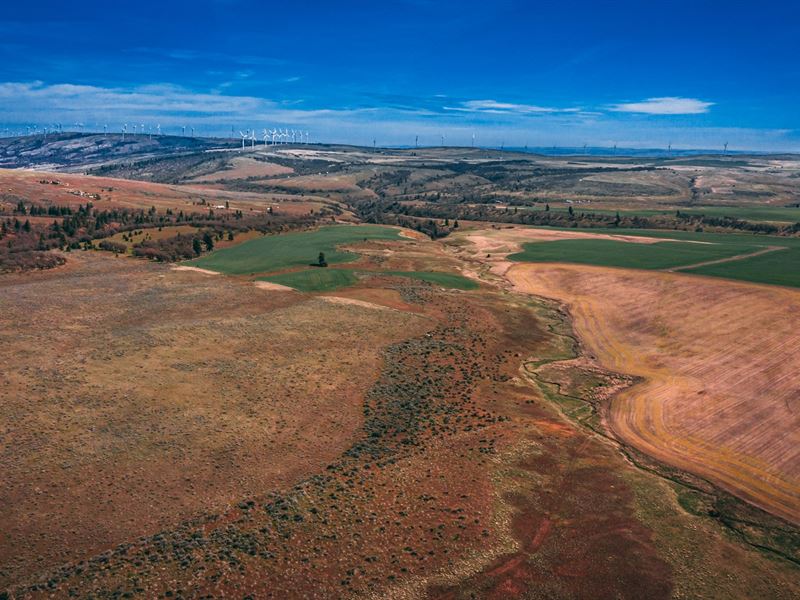 Goldendale Land