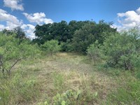 15 Acres with Exotics : Menard : Texas