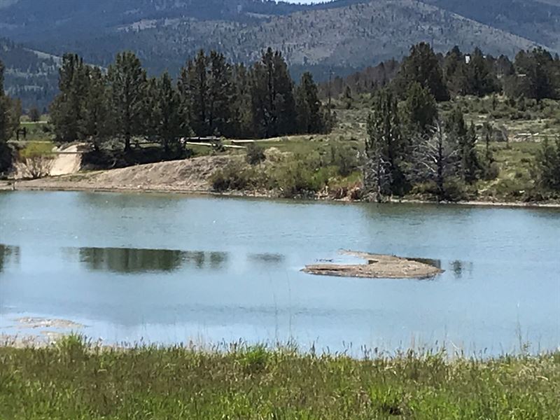 Modoc County Cattle & Hay Farm : Canby : Modoc County : California