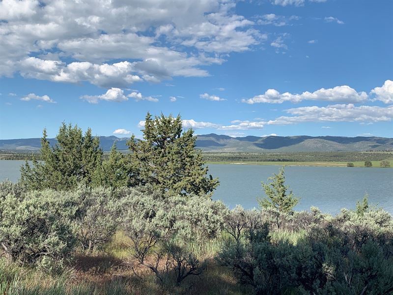 Alturas, Ca, Buildable Lakefront, Ranch for Sale in California, #242512