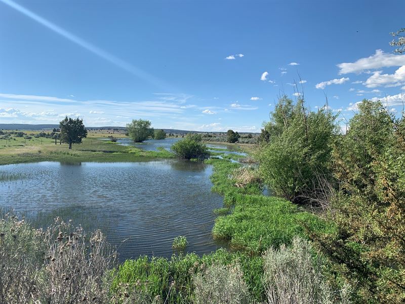 Modoc County Lakefront Farm Ranch For Sale In California 242631   Modoc County Lakefront Farm Alturas Modoc County California 242631 7j2cyg XL 