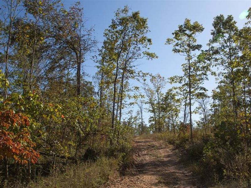 Missouri, Shannon County : Birch Tree : Shannon County : Missouri