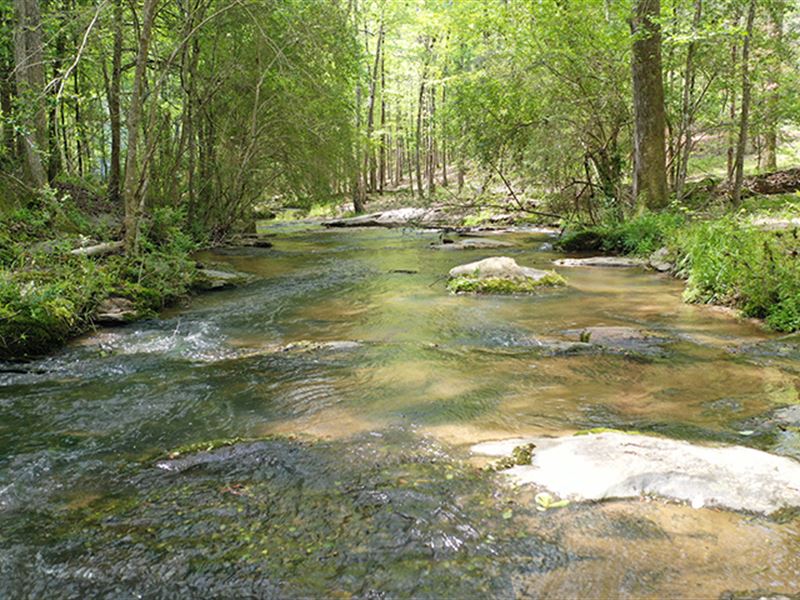 McIntosh Plantation : Jackson : Butts County : Georgia