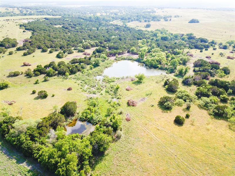 Land Texas, 36 Acres Hamilton, Ranch for Sale in Texas, 245132 RANCHFLIP