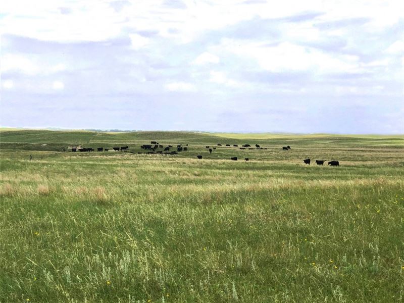 Zimmerman Ranch, Ranch for Sale in Nebraska, #247116 : RANCHFLIP