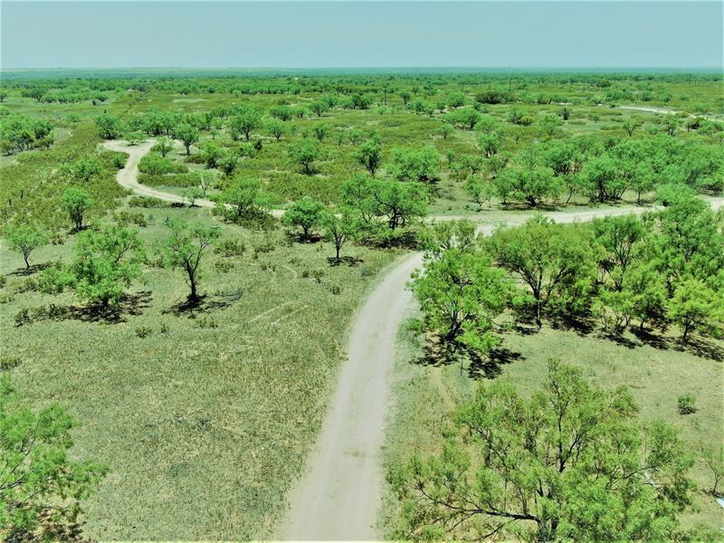 Large Hunting Ranch Ira Tx-Scurry : Ira : Scurry County : Texas