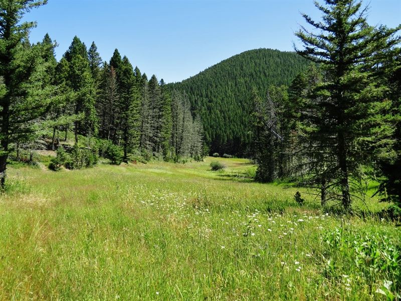 Central Montana Ranches For Sale