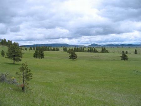 Sundance Canyon Ranch : Sundance : Crook County : Wyoming