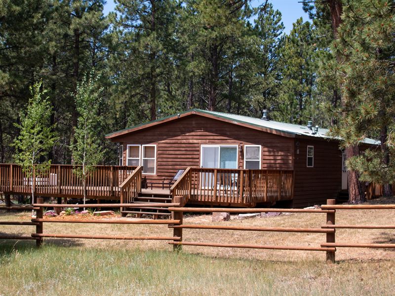 Cozy Cabin In WY Black Hills : Ranch for Sale in Four ...