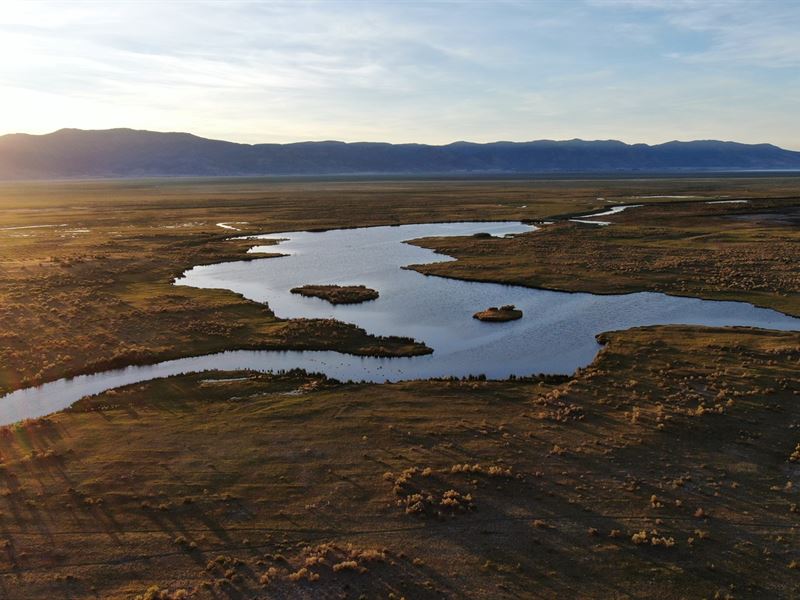 Plus One Ranches, 5000 Acres : Lakeview : Lake County : Oregon