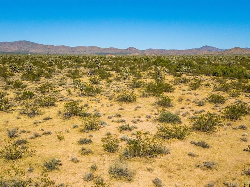 40.02 Acres -In Stagecoach Trails : Yucca : Mohave County : Arizona