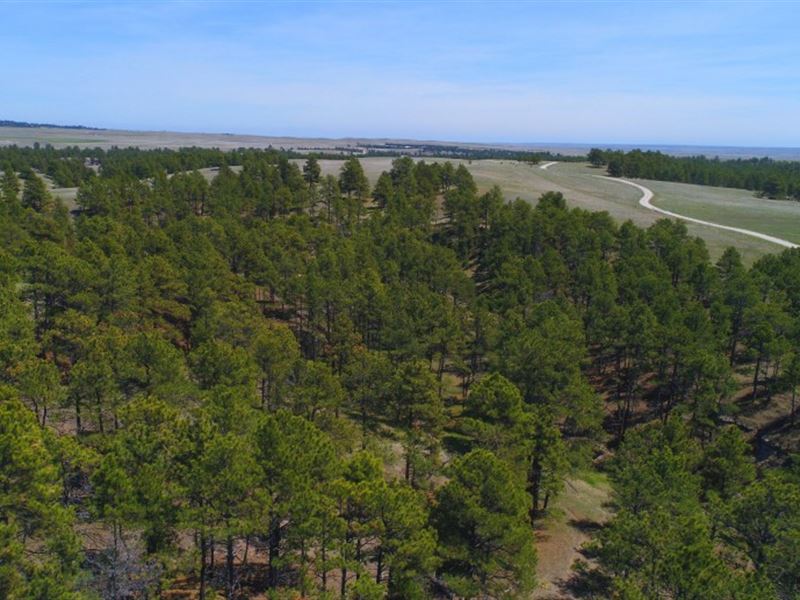 Pine Ridge Ranch and Wildlife Tract, Ranch for Sale in Nebraska ...