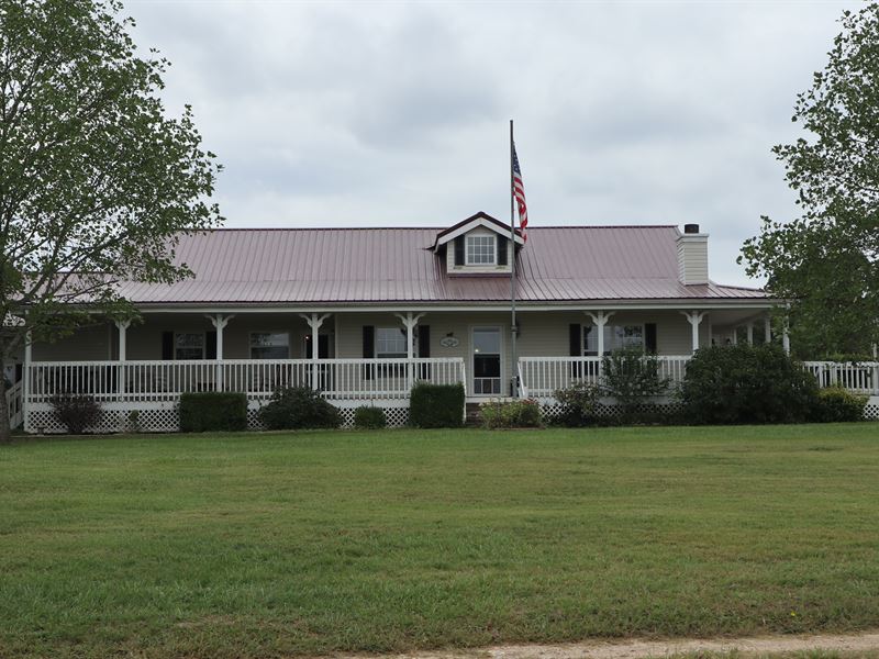 Ozarks Horse & Cattle Ranch : Viola : Fulton County : Arkansas