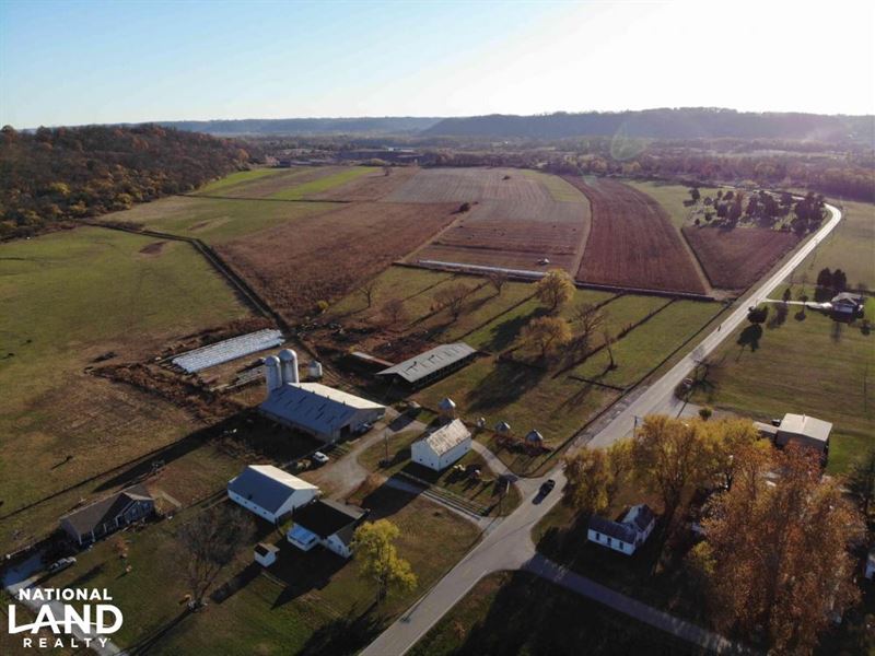 Northern Kentucky Cattle Farm : Petersburg : Boone County : Kentucky