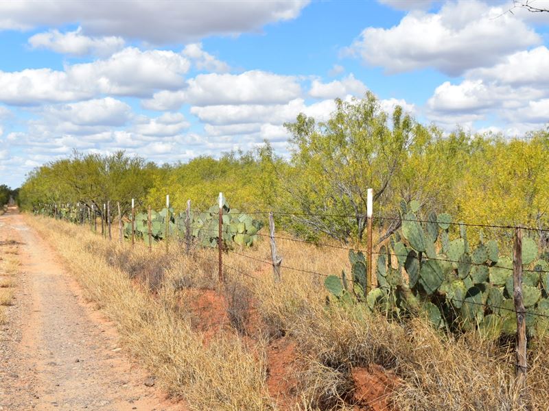 20 Acre Ranch in North Laredo, Ranch for Sale in Texas, 259808 RANCHFLIP