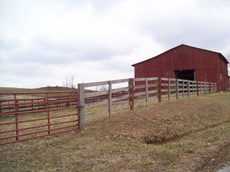 Very Nice Kentucky Cattle Farm : Morgantown : Butler County : Kentucky