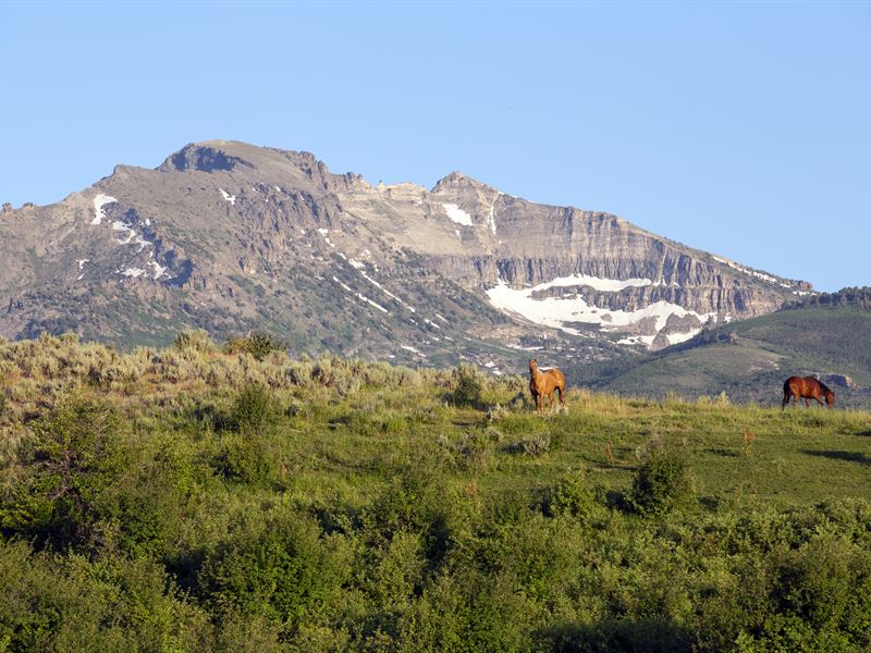 North Starr Ranch : Deeth : Elko County : Nevada