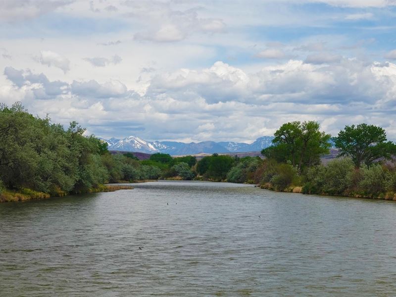 Valley Springs Ranch : Delta : Delta County : Colorado