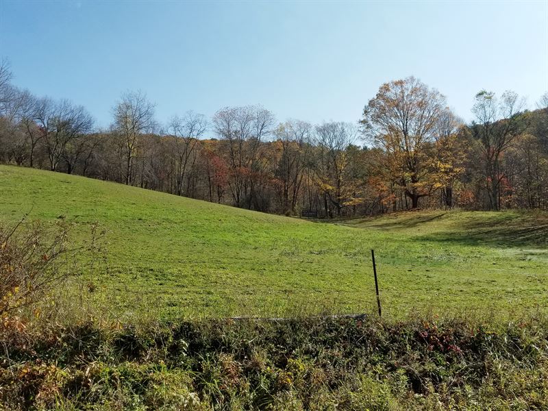 Mountain Farm Land with Spring : Mouth Of Wilson : Grayson County : Virginia