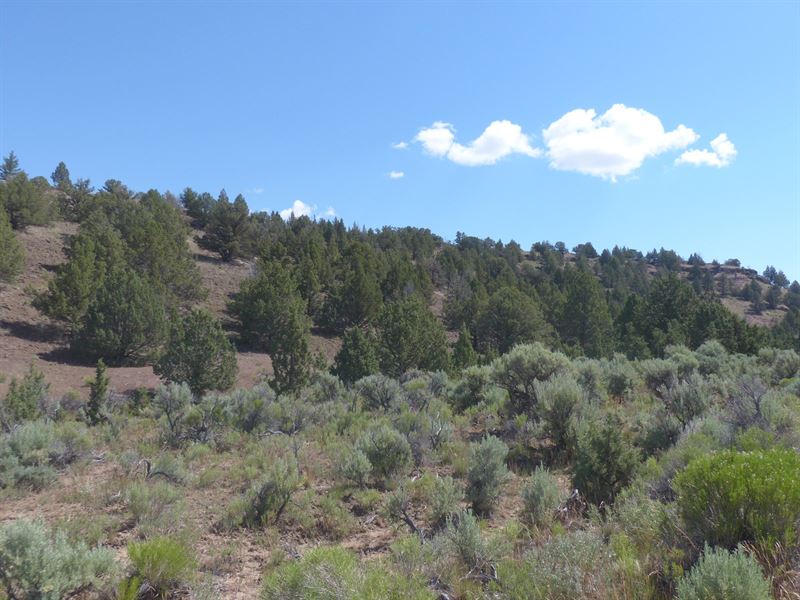 Great Recreational Property Outside Ranch For Sale In Frenchglen Harney County Oregon 269224 Ranchflip