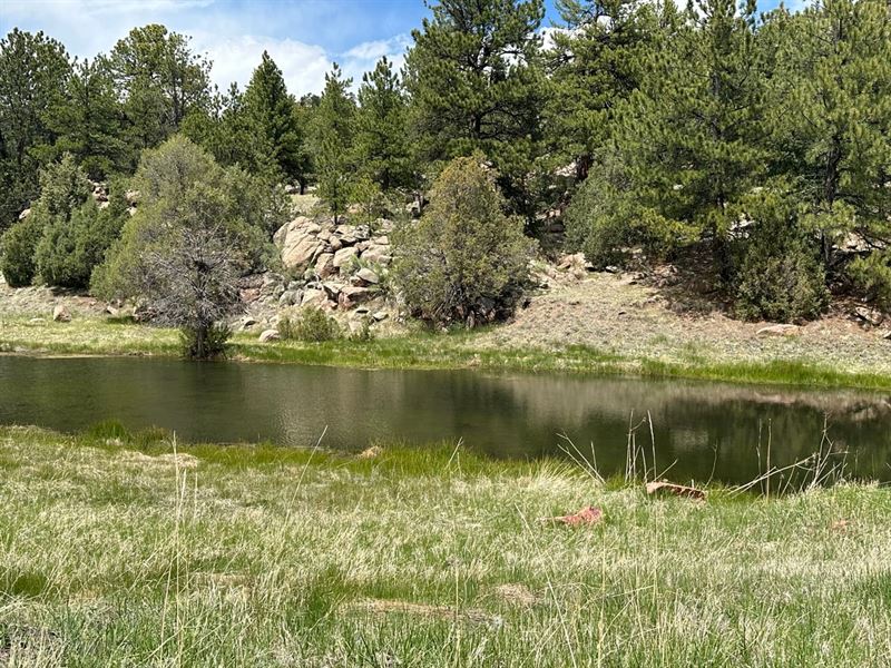 Sunrise Ridge Ranch : Florissant : Teller County : Colorado