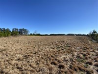 Hwy 29 Commercial : Athens : Madison County : Georgia