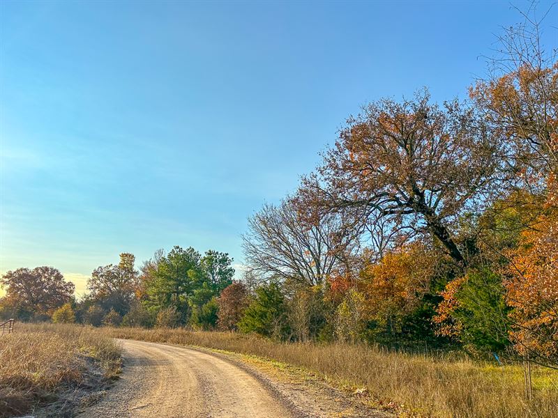 699 Acres, Cr 4640 Tract 1002 : Avery : Red River County : Texas