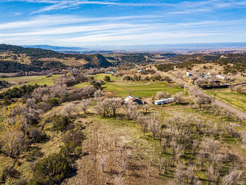 Colorado Land Homesite Acreage, Ranch for Sale in Colorado, 275602