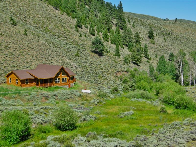 End Of The Road Ranch : Powderhorn : Gunnison County : Colorado