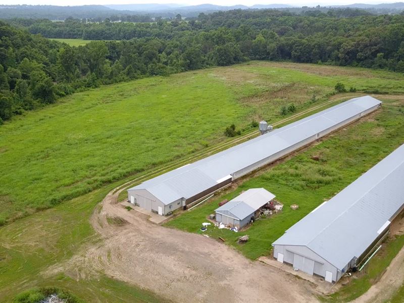Tyson Contracted Breeder Egg Farm : Hartman : Johnson County : Arkansas