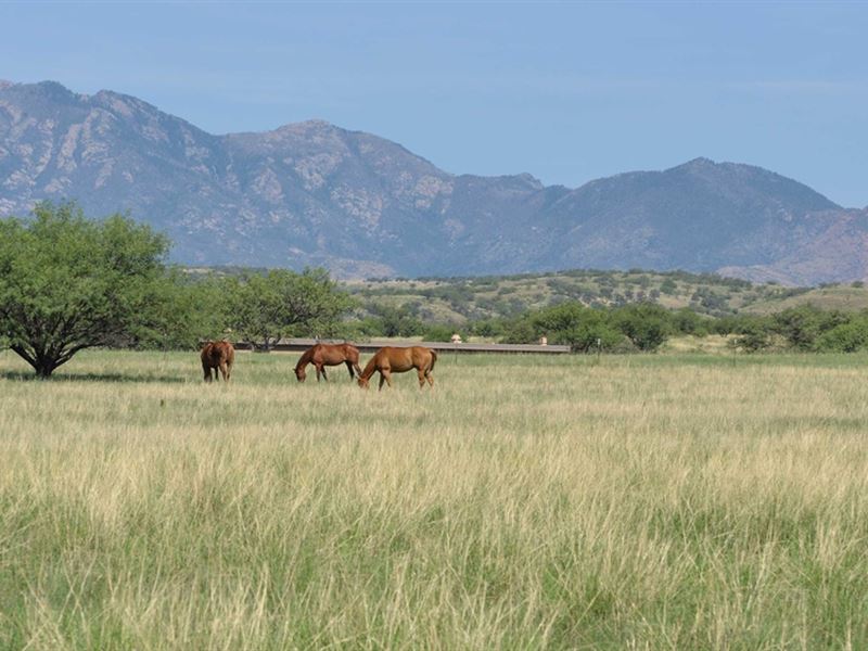 Crown C Ranch : Sonoita : Santa Cruz County : Arizona