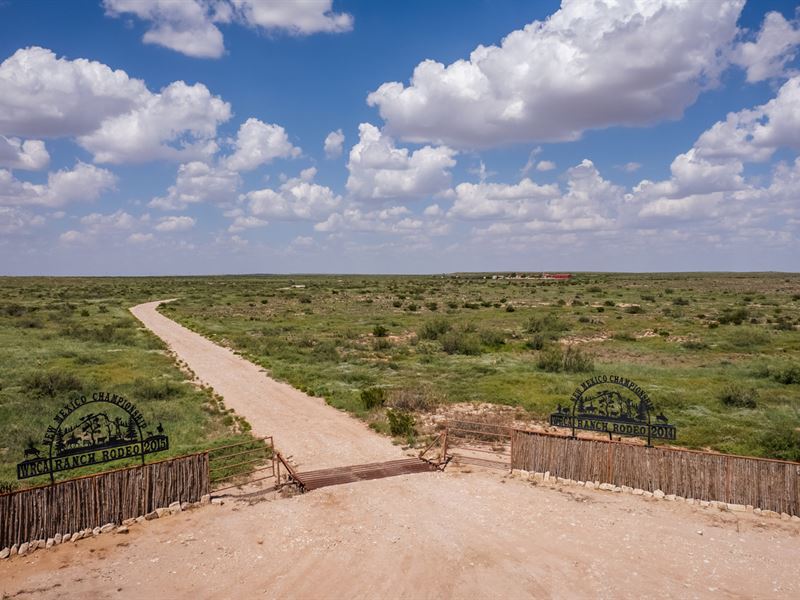 Dagger Draw Ranch : Carlsbad : Eddy County : New Mexico