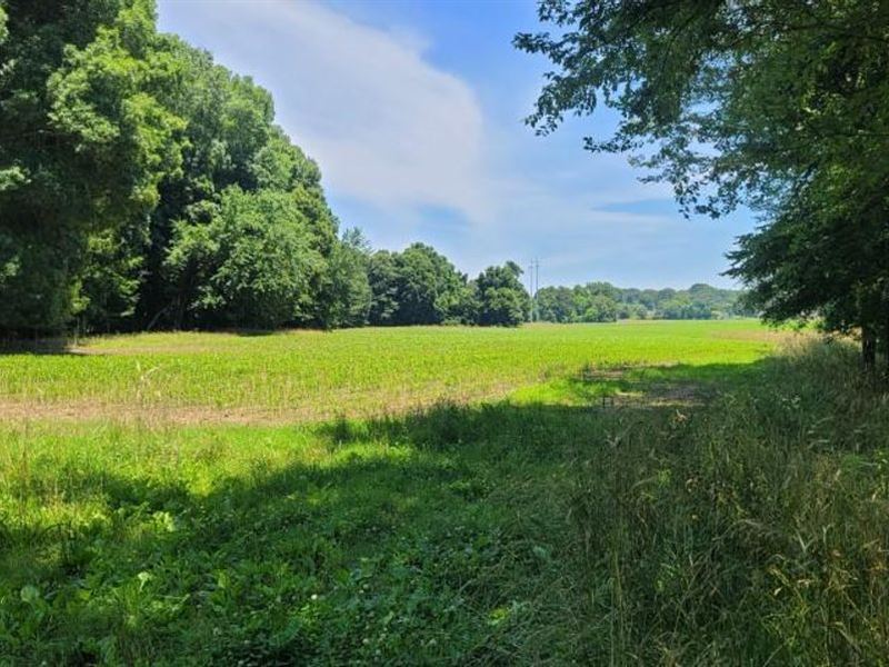 320 Ac Cattle/Ag Farm. Hardwoods : Jackson : Madison County : Tennessee