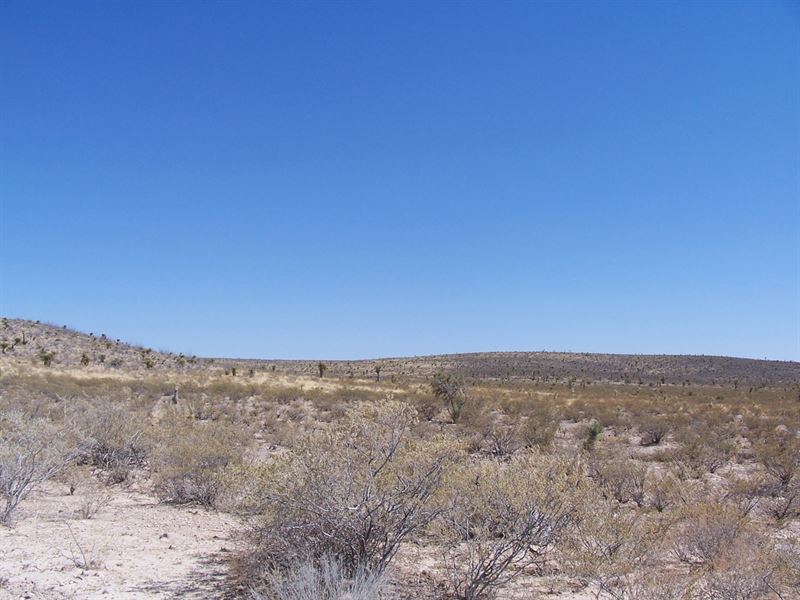 Leave The City Behind for $299 Now : Sierra Blanca : Hudspeth County : Texas