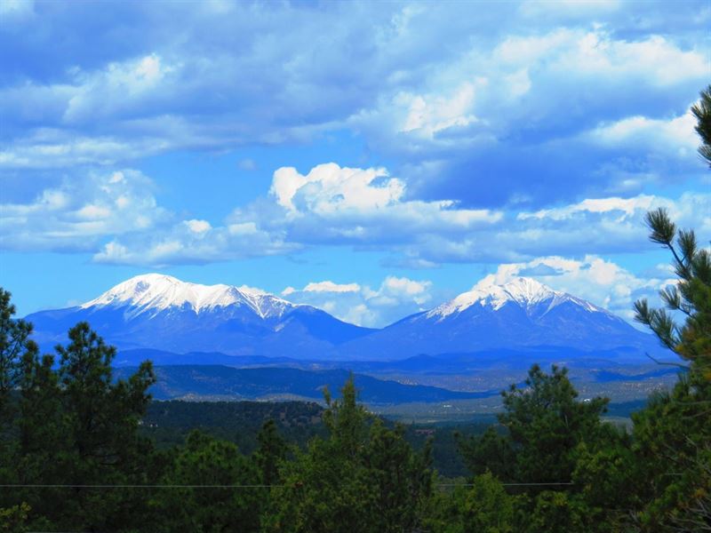 39 Santa Fe Trail Ranch : Trinidad : Las Animas County : Colorado