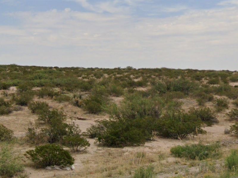 Discover The Endless Possibilities : Fort Hancock : Hudspeth County : Texas