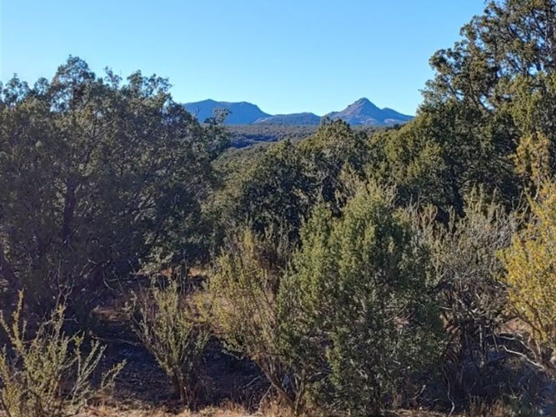 Westwood Ranch, 41.81 Acres : Williams : Coconino County : Arizona