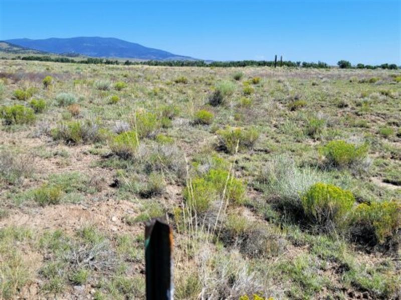 Direct Access Lot in CO : La Jara : Conejos County : Colorado